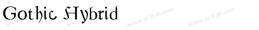 Gothic Hybrid字体转换